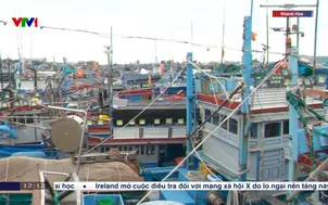 Ngư dân vất vả vì cảng cá bị bồi lấp