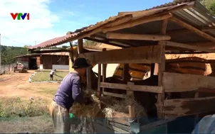 Ứng dụng khoa học kỹ thuật để giảm nghèo