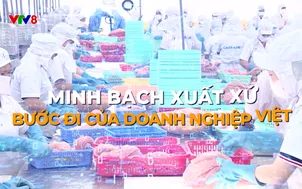 Phóng sự: Minh bạch xuất xứ - Bước đi của doanh nghiệp Việt (22/11/2025)