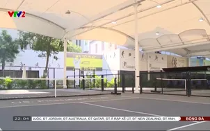 360 độ thể thao | 24/11/2025