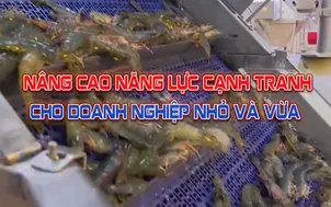 Nâng cao năng lực cạnh tranh cho doanh nghiệp vừa và nhỏ