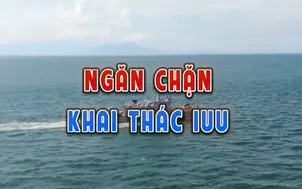 Ngăn chặn khai thác IUU
