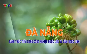 Kết nối để bứt phá: Đà Nẵng tiềm năng phát triển dược liệu (26/11/2025)