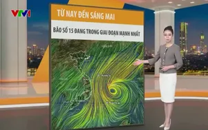 Bản tin thời tiết 19h45 - 27/11/2025