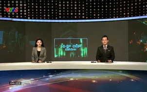 Nhịp đập thể thao | 01/12/2025