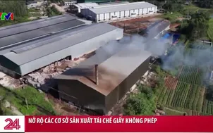 Nở rộ các cơ sở sản xuất tái chế giấy không phép