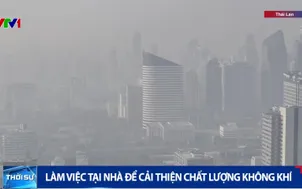 Làm việc tại nhà để cải thiện chất lượng không khí 