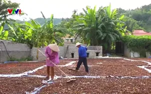 Gắn sản xuất nông nghiệp với thị trường