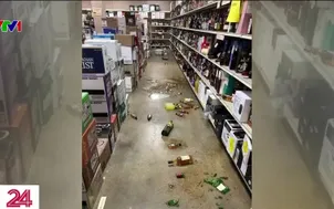 Gấu mèo say xỉn trong cửa hàng rượu ở Mỹ