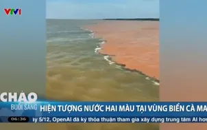 Hiện tượng hai màu nước kỳ lạ xuất hiện trên vùng biển Cà Mau