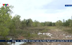 Mua đất dính "bẫy chồng bẫy"