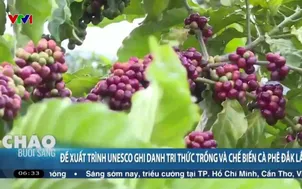 Đề xuất trình UNESCO ghi danh “Tri thức trồng và chế biến cà phê Đắk Lắk”