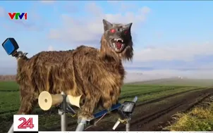 "Sói robot" đuổi gấu gây sốt tại Nhật Bản