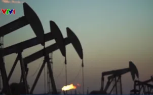 Cảnh báo khủng hoảng môi trường toàn cầu