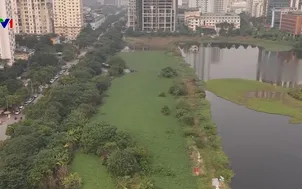 "Lá phổi xanh" chậm hình thành ở Hà Nội