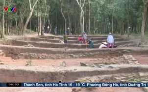 Đà Nẵng: Cận cảnh "con đường thiêng" vừa phát lộ tại Thánh địa Mỹ Sơn