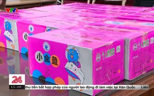 Hà Nội thu giữ số lượng lớn pháo nổ nhập lậu