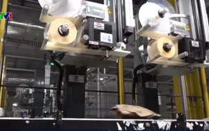 A.I. và robot thay đổi khâu xử lý đơn hàng mùa lễ hội