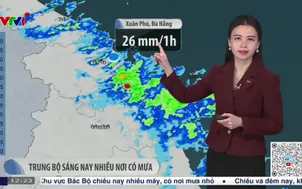 Bản tin thời tiết 12h30 - 17/12/2025