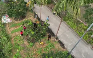 Người gieo mầm "hy vọng"