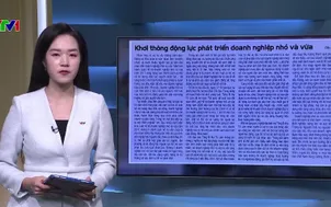 Điểm báo - 20/12/2025