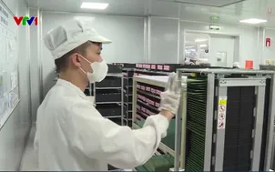 Xuất nhập khẩu đạt kỷ lục 920 tỷ USD