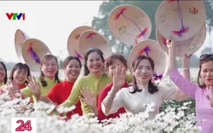 "Nàng thơ" rủ nhau khoe sắc cùng cúc hoạ mi