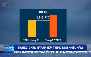Tháng 12 năm nay ấm hơn trung bình nhiều năm