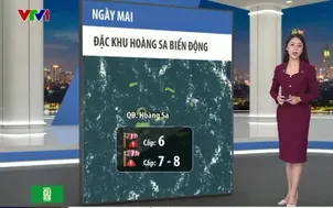 Bản tin thời tiết 19h45 - 22/12/2025