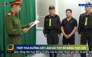 TP. Hồ Chí Minh: Triệt phá đường dây giả thịt bò bằng thịt lợn 