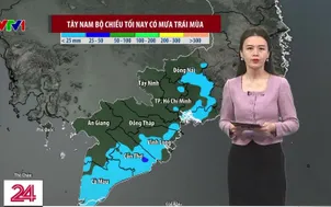 Bản tin thời tiết 11h30 - 23/12/2025