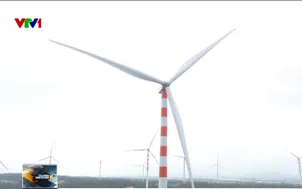 Chuyển đổi xanh để phát triển bền vững