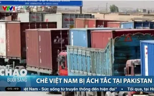 Hơn 400 container chè Việt Nam đang bị ách tắc tại cảng Pakistan