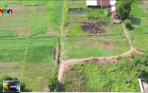 TP. Hồ Chí Minh đề xuất giữ mức tăng giá đất nông nghiệp