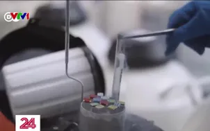 Lỗ hổng trong ngành thương mại tinh trùng ở châu Âu