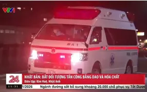 Nhật Bản: Bắt đói tượng tấn công bằng dao và hóa chất 