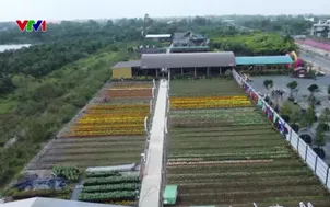 Về làng hoa nghe nông dân kể chuyện