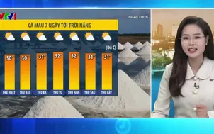 Bản tin thời tiết 5h30 - 28/12/2025