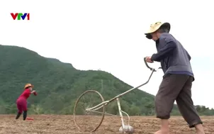 Tận thu cát, cải tạo đồng ruộng cho vụ đông xuân