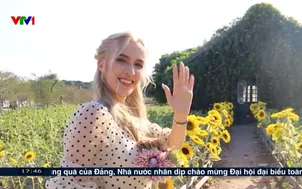 Việt Nam điểm đến ngày càng hấp dẫn