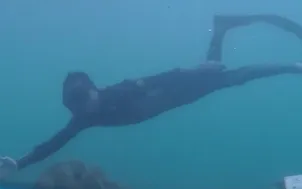 Ươm mầm sống dưới đáy đại dương