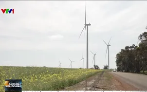 Australia: Nghịch lý thừa điện gió, điện mặt trời