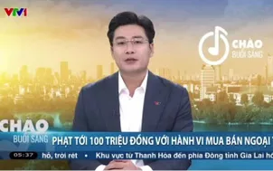 Phạt tới 100 triệu đồng với hành vi mua bán ngoại tệ