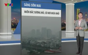 Bản tin thời tiết 19h45 - 30/12/2025