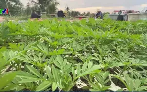 Ngày cuối năm ở vùng lũ