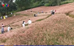 Ngày lễ ở nhà hay đi du lịch?