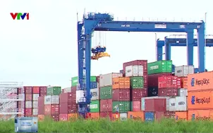 Nhiều chính sách thuế thi hành từ hôm nay