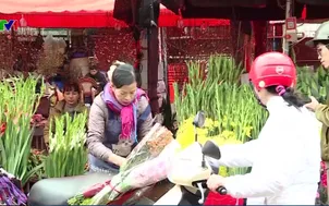 Chợ hoa Hà Nội rộn sắc xuân