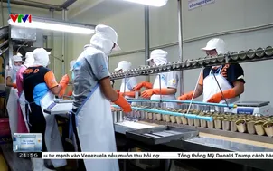 Kinh tế Thái Lan dự báo tăng trưởng 1,5%