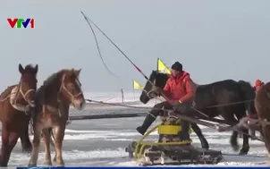 Đưa nghề truyền thống vào nền kinh tế hiện đại